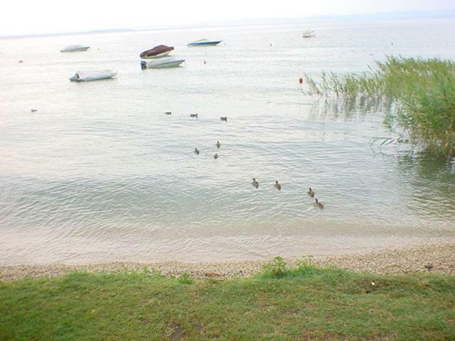 Camping Continental Campingplatz Bardolino